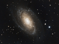 Messier 81_foorumi Messier 81_foorumi
